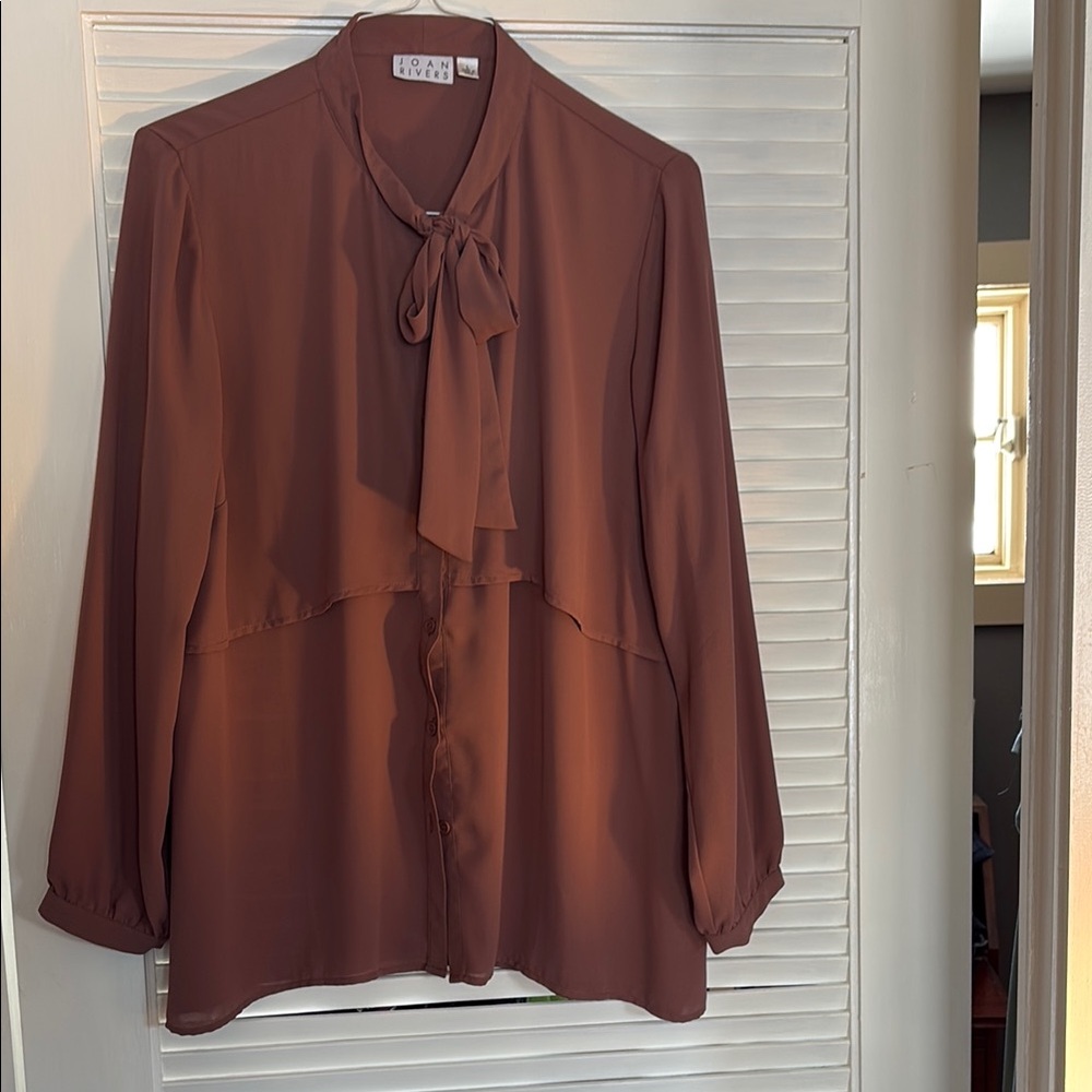 Joan Rivers Milky Brown Blouse with Tie and Interesting Back Detail